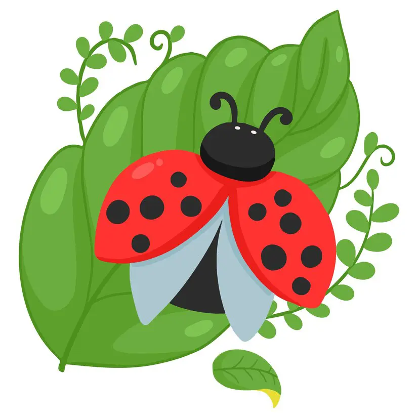 1 Ladybug painting