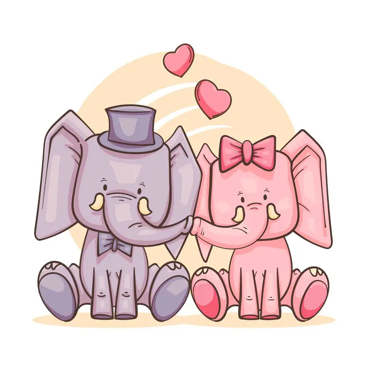 1 Elephant couple