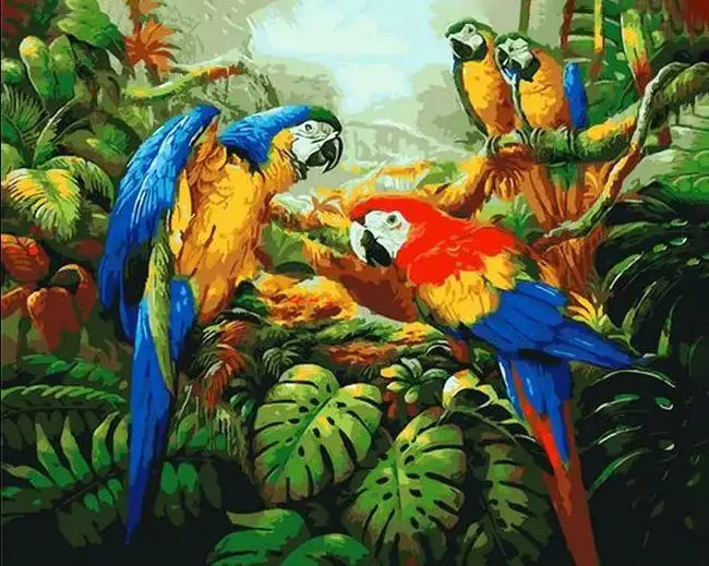 1 Beautiful parrots