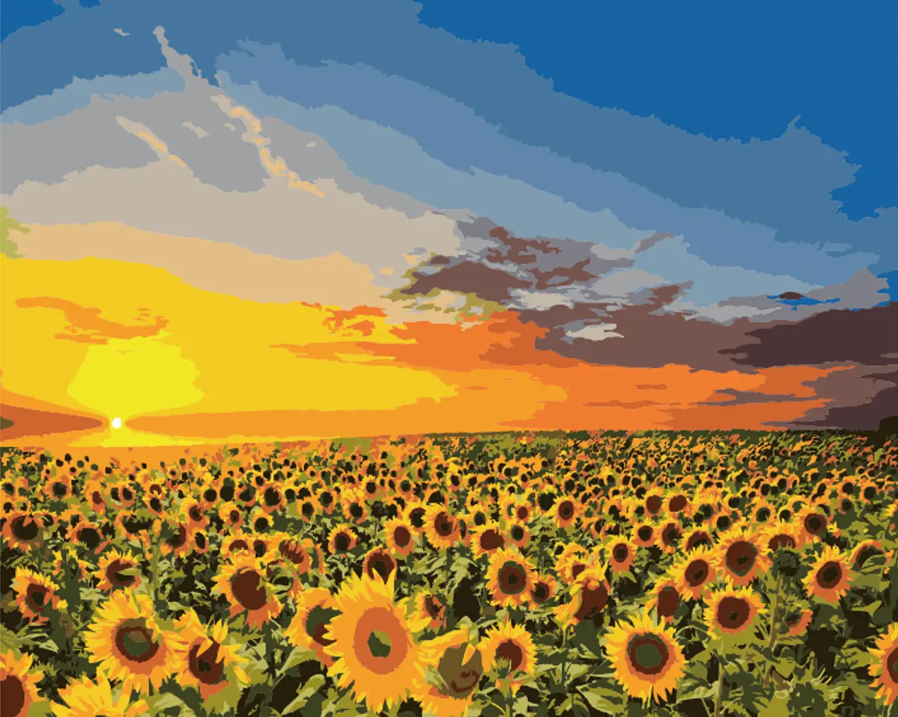 1 Golden sunflower field