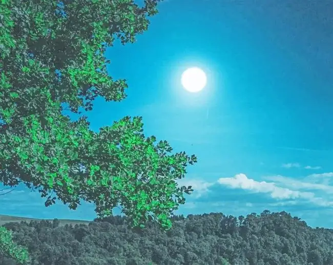 1 Nature during night time