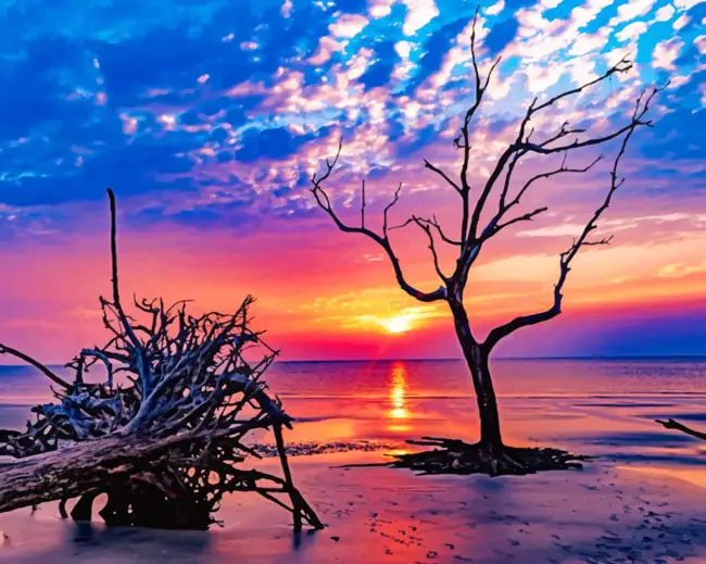 1 Jekyll island sunrise seascapes