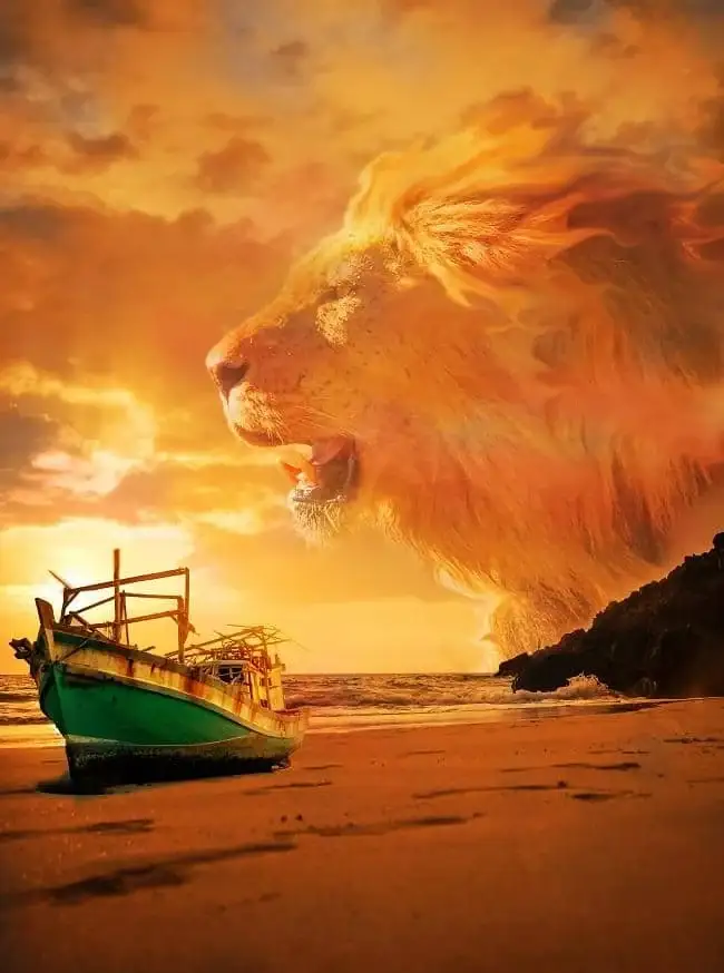 1 Lion in beach sky