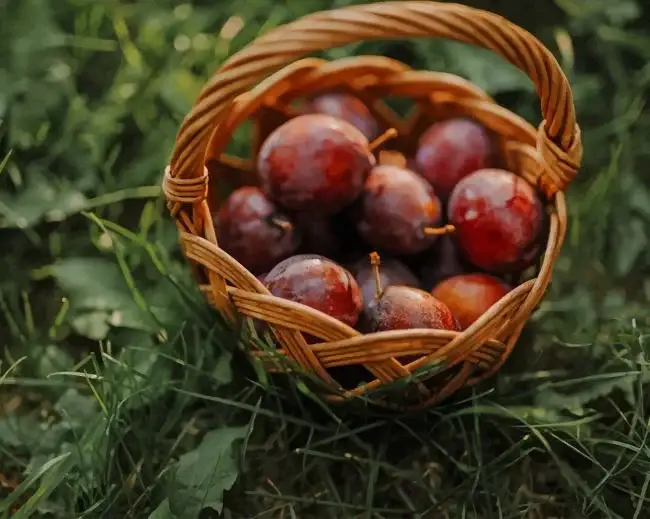 1 Plums basket