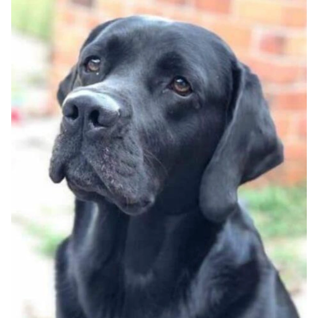 Image #1 from Linsey M.