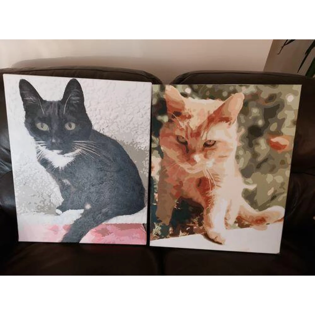 Image #1 from Lesley R.