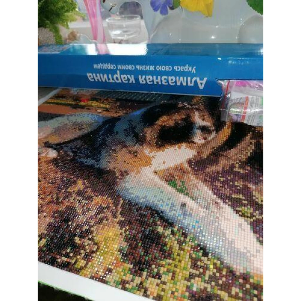 Image #1 from Diana Z.