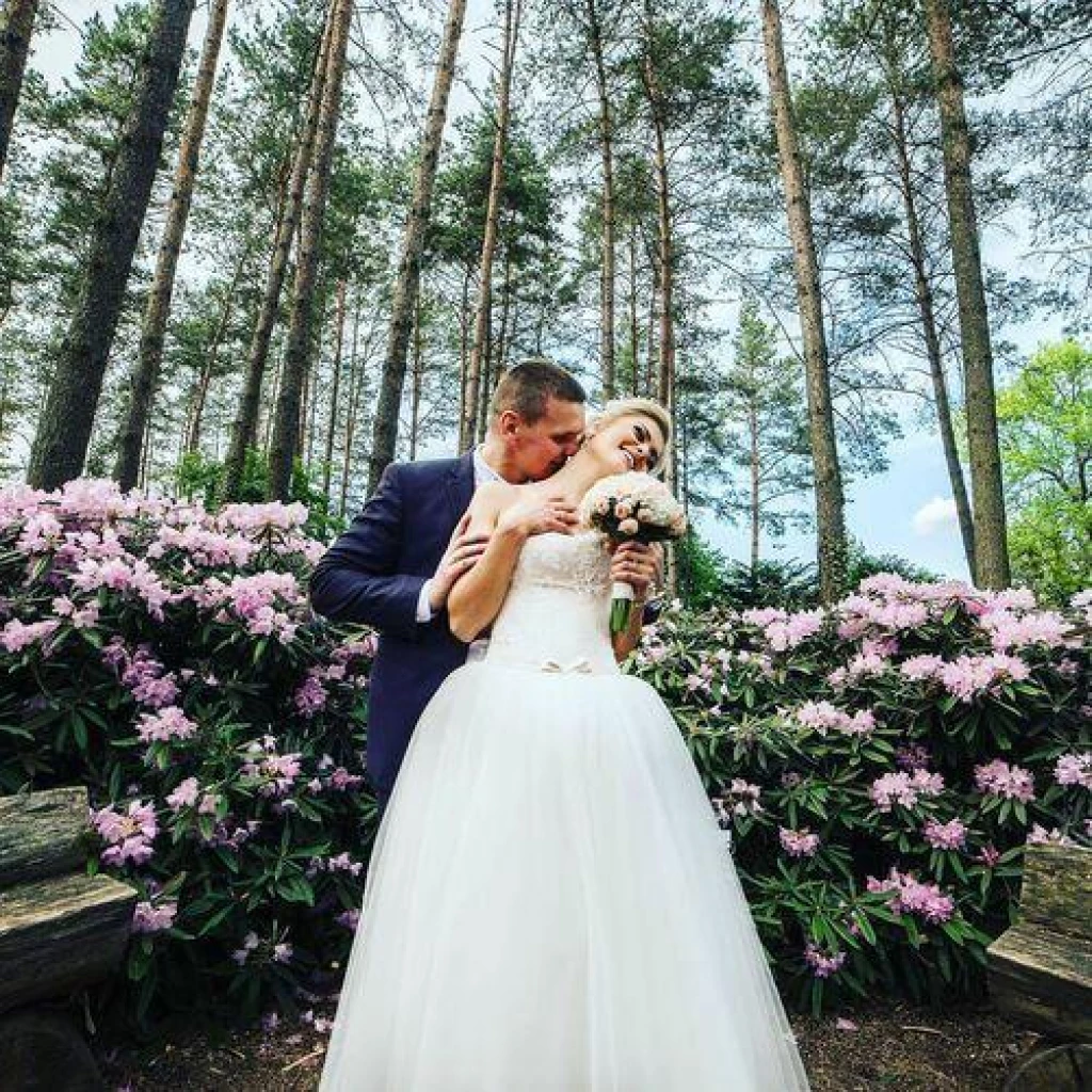 Image #1 from laura m.