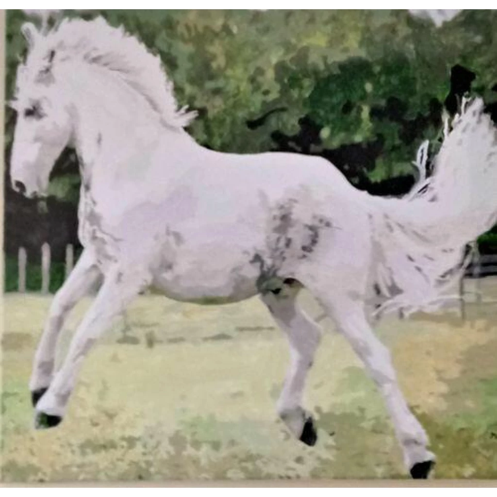 Image #1 from Sheila C.