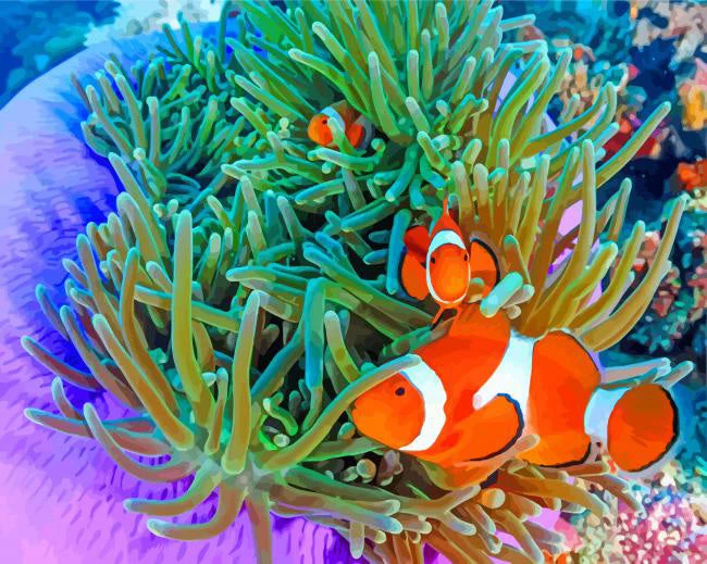 Clownfish undersea