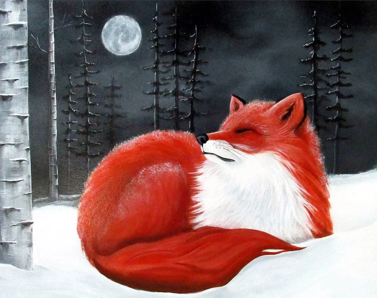 Red fox in snow