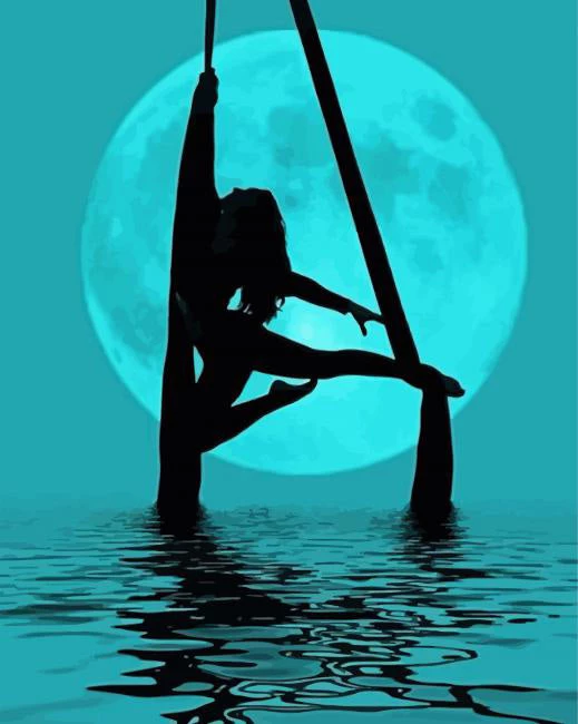 Aerialist silhouette