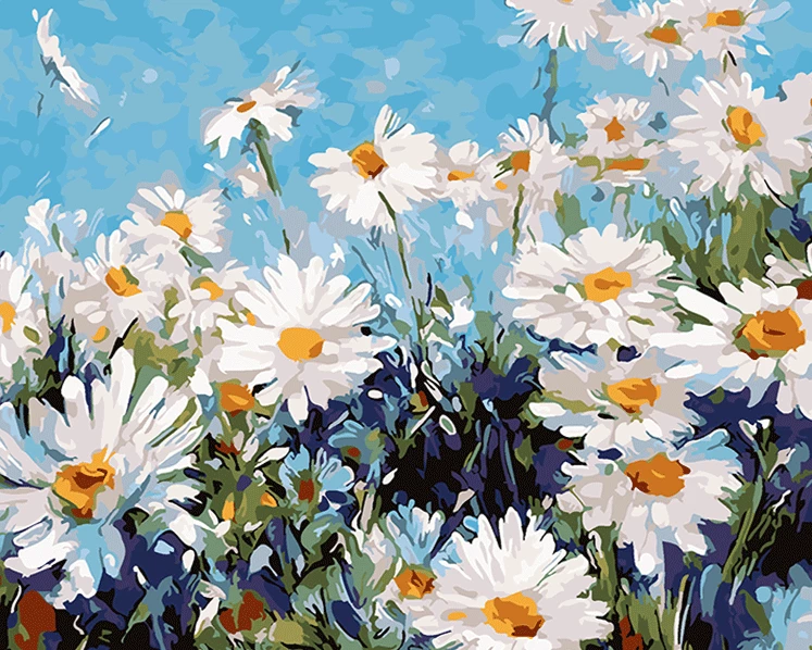 Camomile field