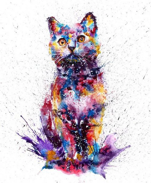 Rainbow cat