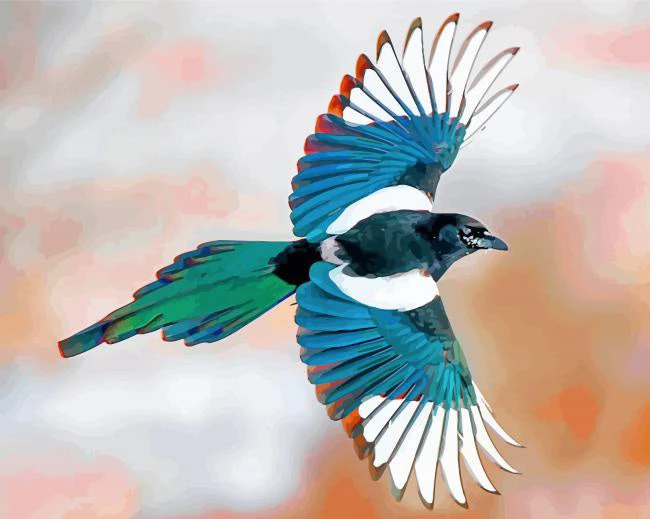 Flying magpie
