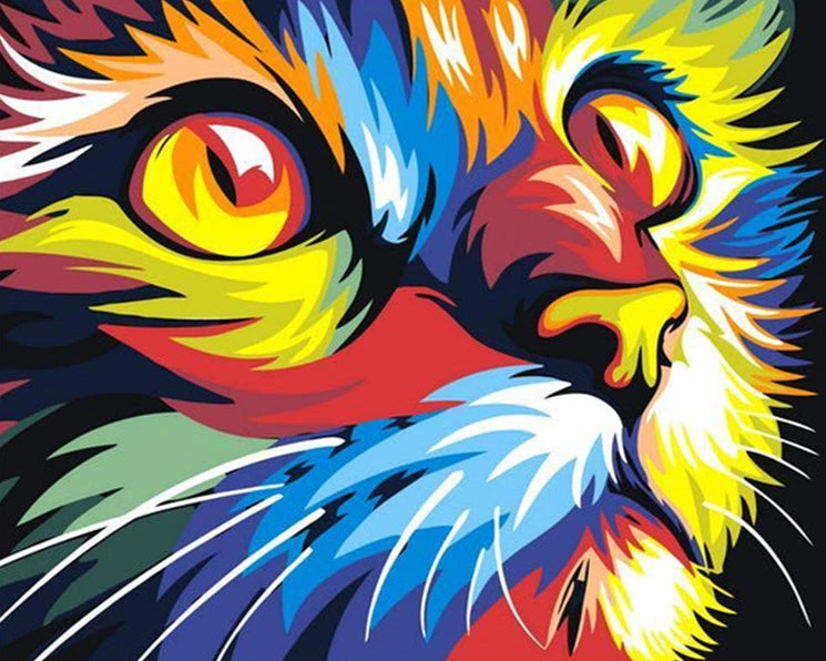 Colorful Cat