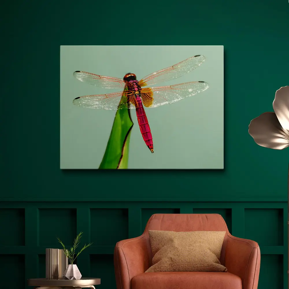 3 Painting of a dragonfly