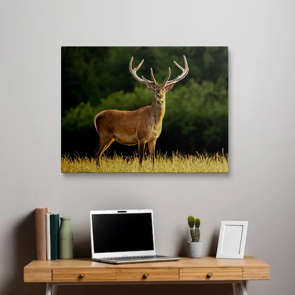 3 Painting deer
