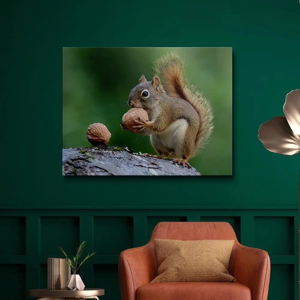 3 Cute squirrel painting