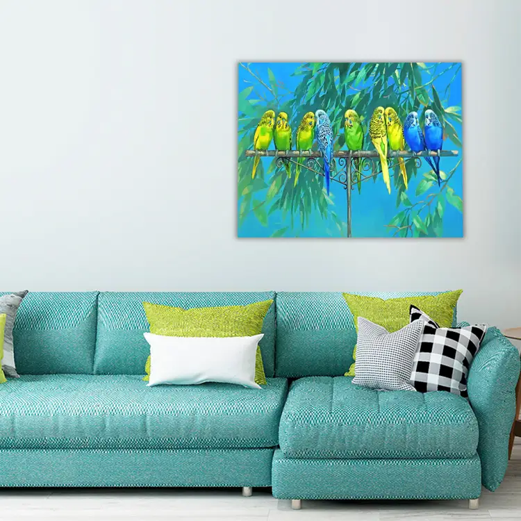 3 Aesthetics budgies birds