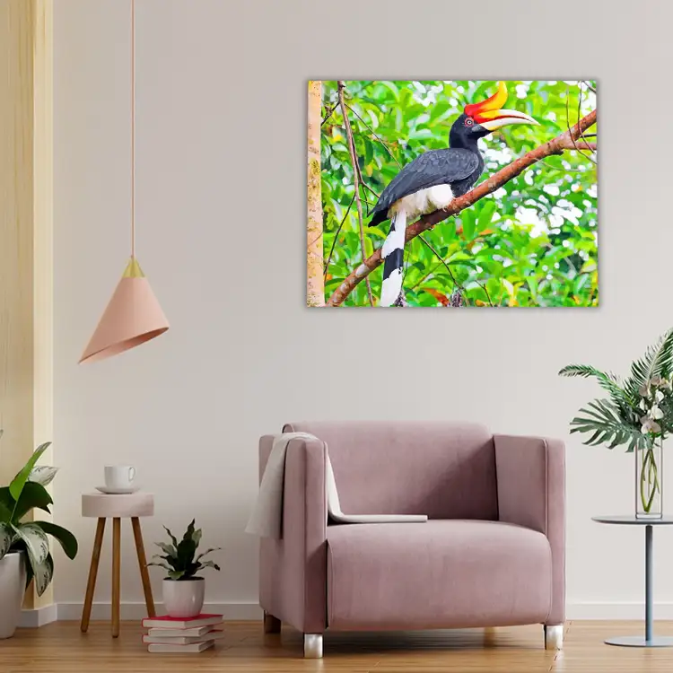 3 Great pied hornbill