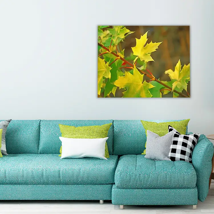 3 Tree maple princeton