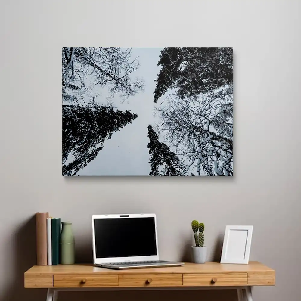 3 Scenic pine forest covered with snow