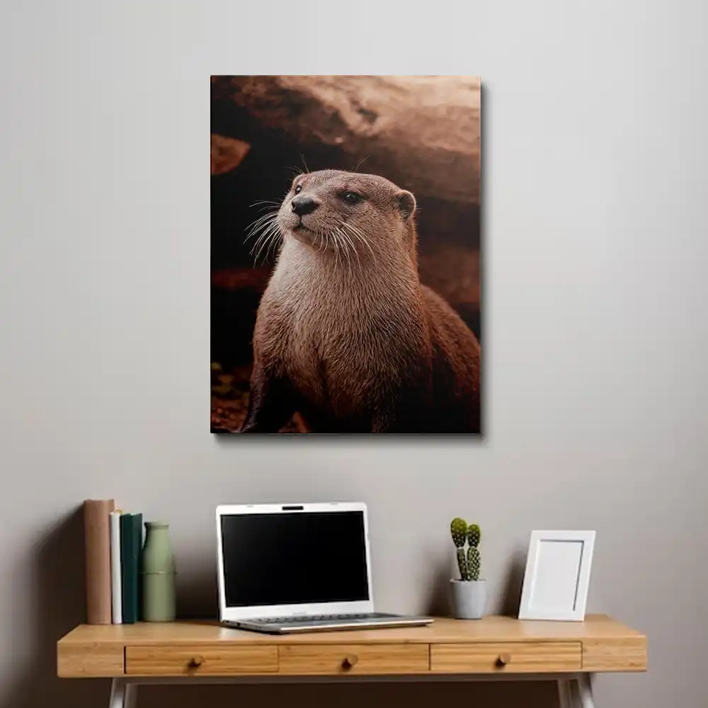 3 River otter