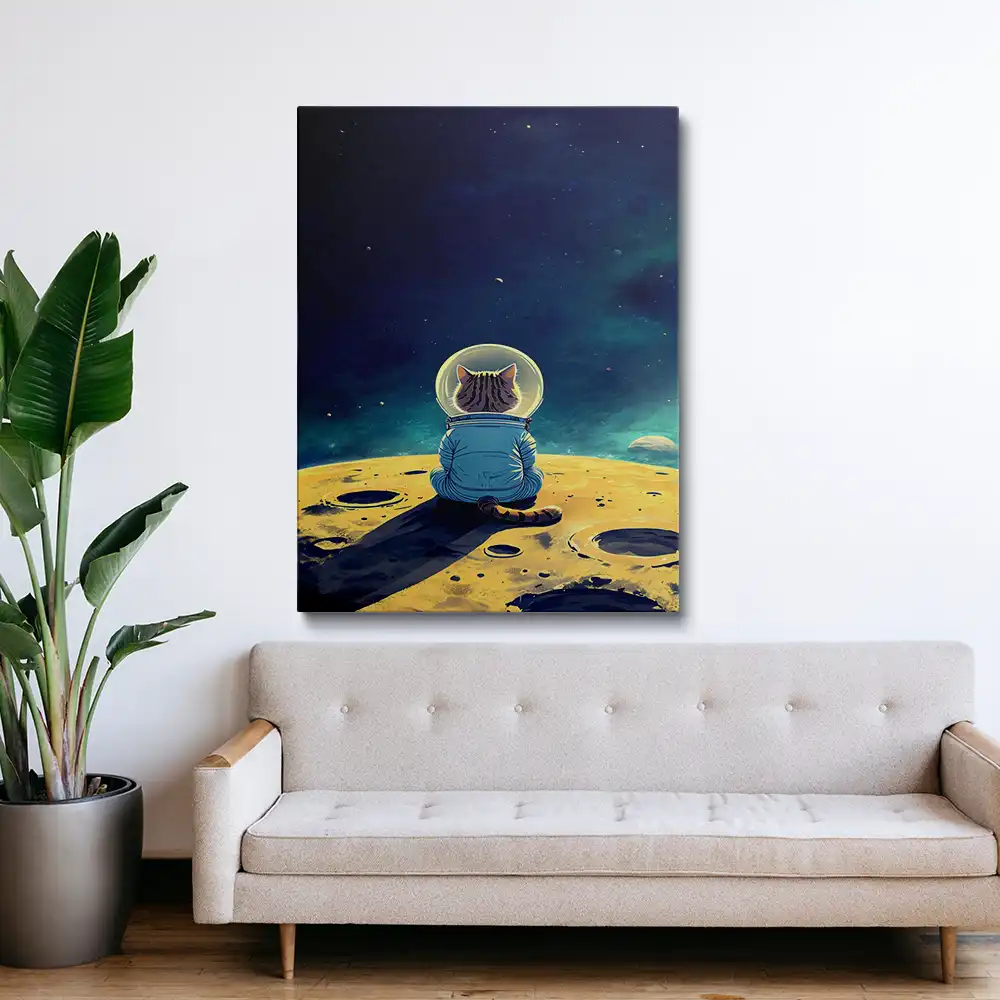 3 Tabby cat in space