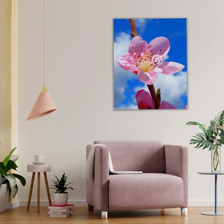 3 Pink cherry blossom flower