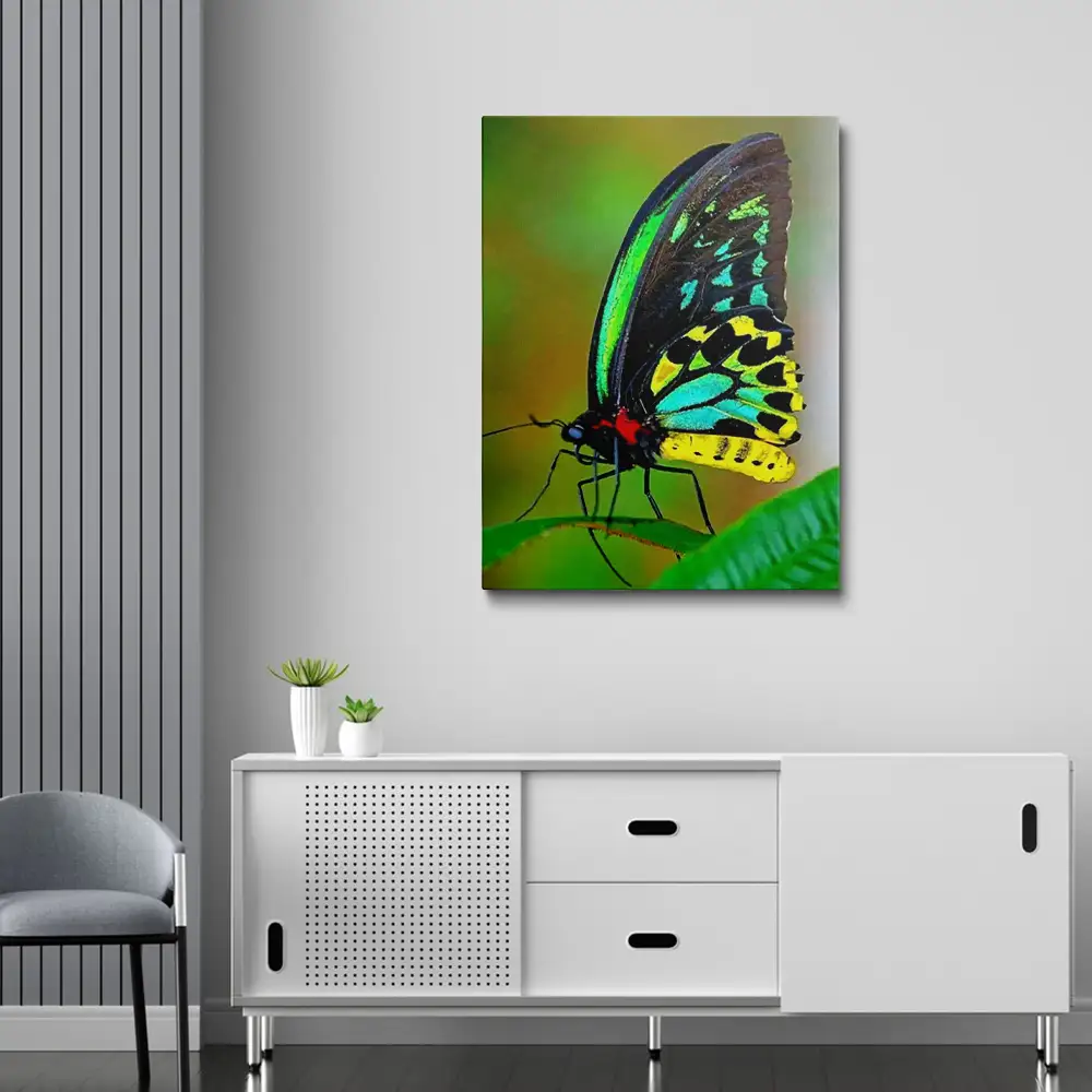 3 Abstract colorful butterfly