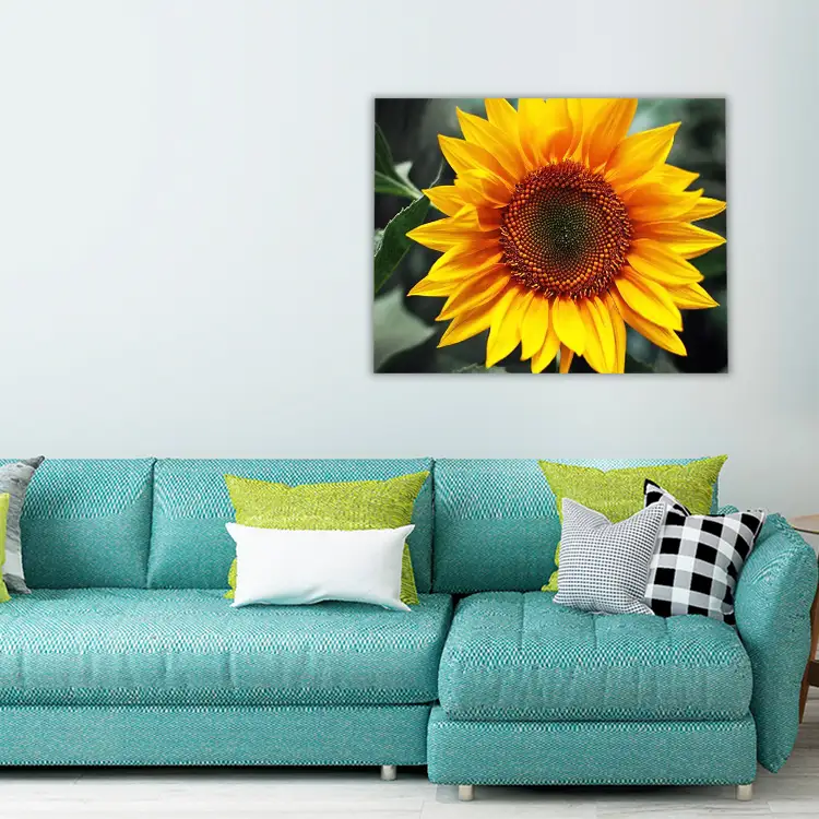 3 Beautiful yellow sunflower
