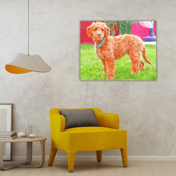 Adorable goldendoodle dog