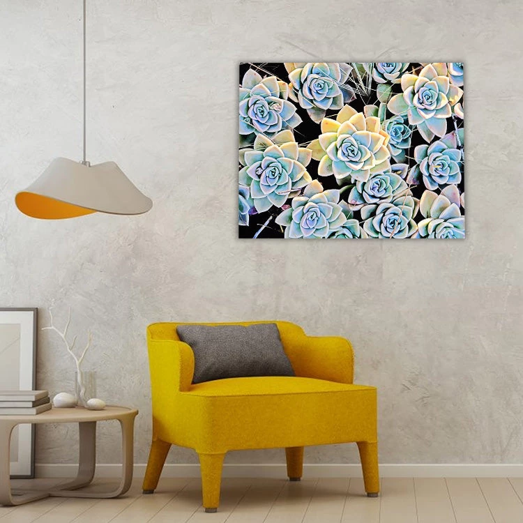 Aesthetic succulents