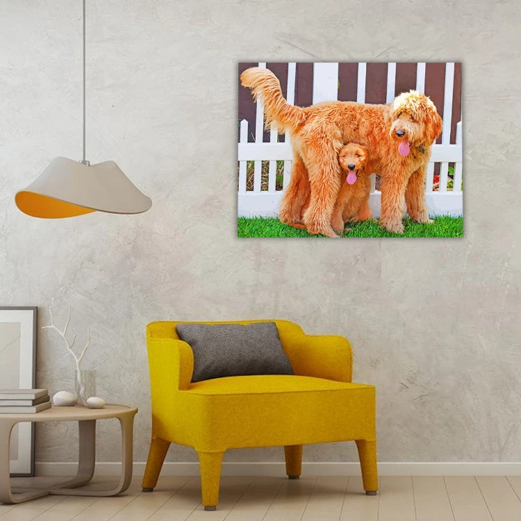 Adorable goldendoodle dogs