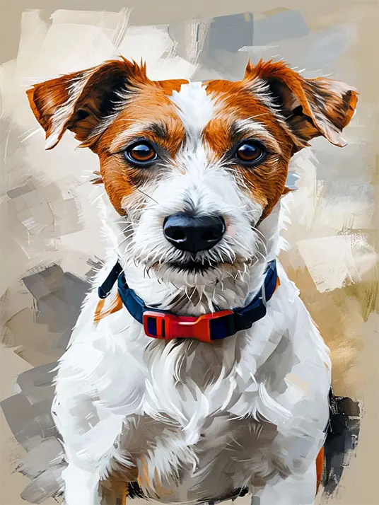 Parson Russell Terrier Parson Russell Terrier