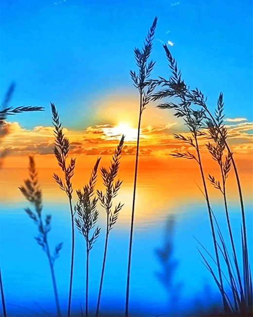 Sunrise view Sunrise view