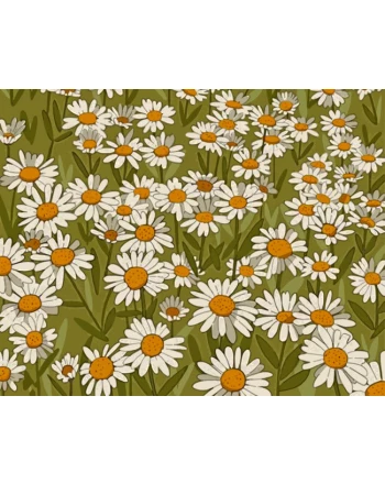 daisy-field-illustration-paint-by-number