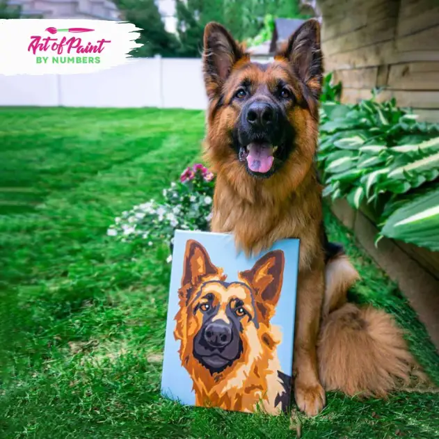 Custom Pet Paint By Number Art Of Paint By Numbers