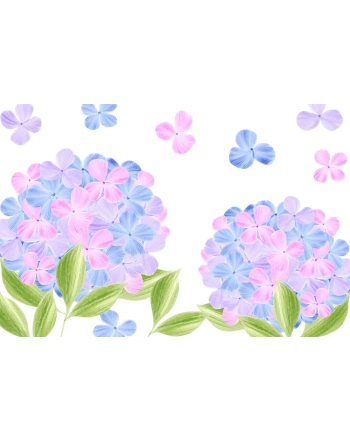 Paint by Number - Pastel Flowers 