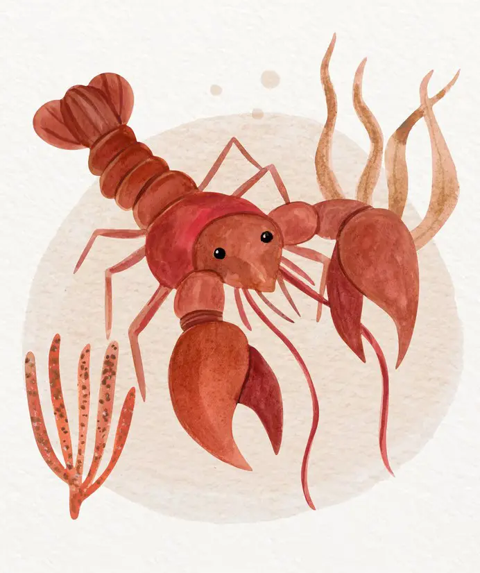 Crab painting