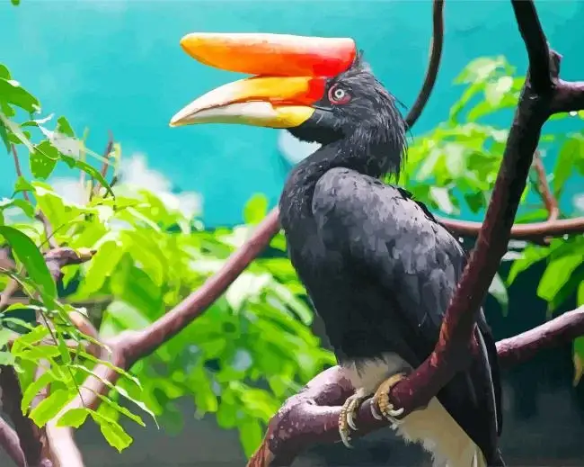 Malaysia hornbill bird