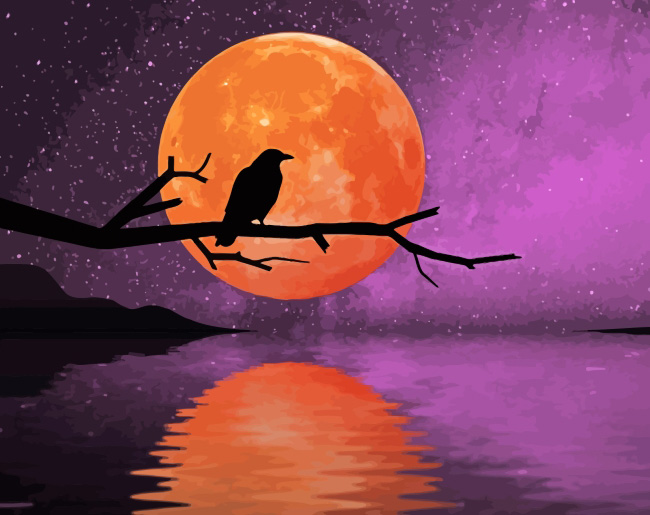 Raven moonlight