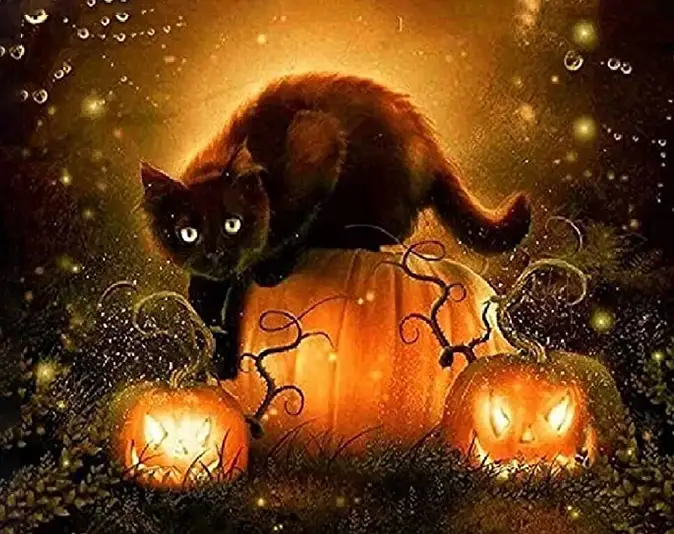 Pumpkin and Cat