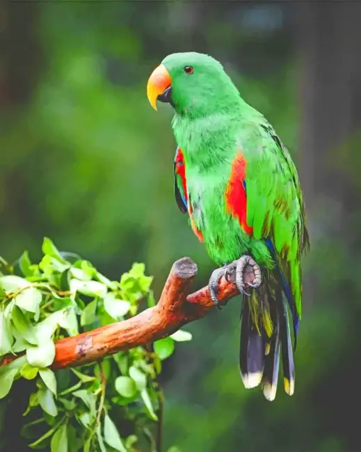 Green parrot on tree branch