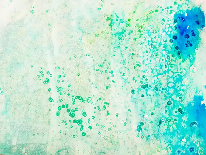 Paint by numbers