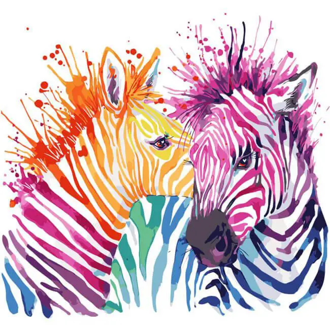 Two colorful striped zebras