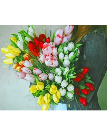 Schipper A Bunch of Tulips Paint by Number Kit