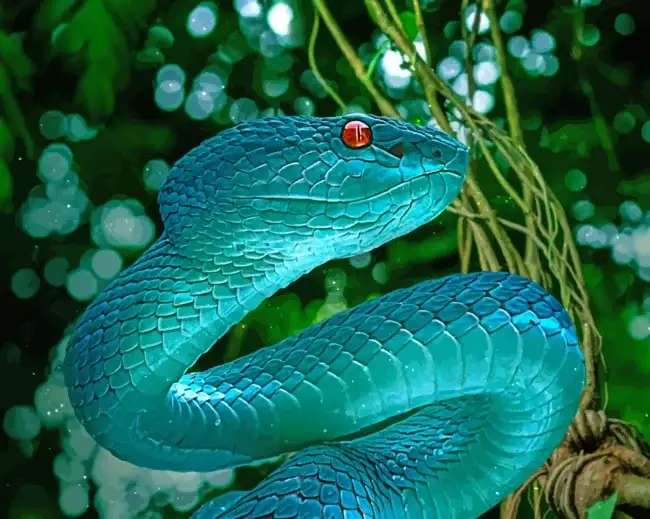 blue snake hd wallpaper