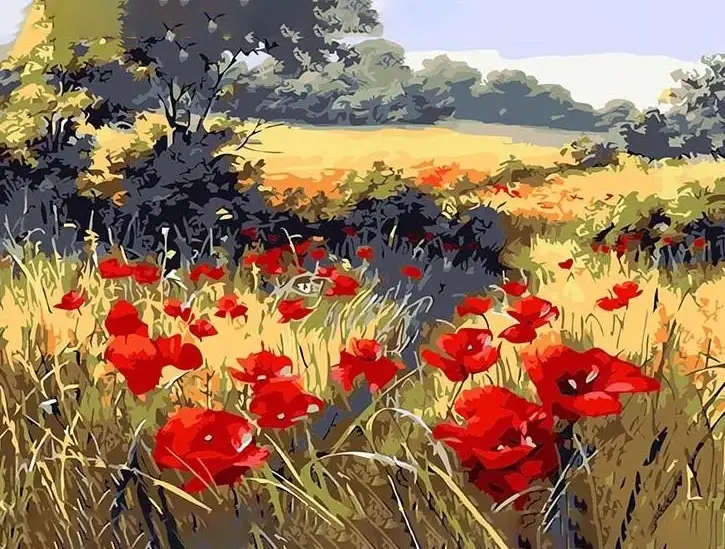 Poppies flower field